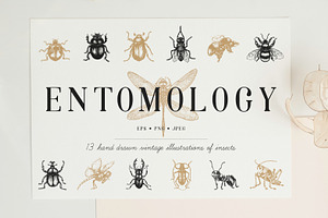 ENTOMOLOGY. Insects Vintage Pack.