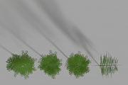 Eucalyptus tree #1, an Environmental 3D Model by AndrewWhite (Thumbnail 3 of 13)