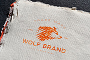 Wolf logo, a Branding & Logo Template by DOBROGRAPH (Thumbnail 4 of 4)