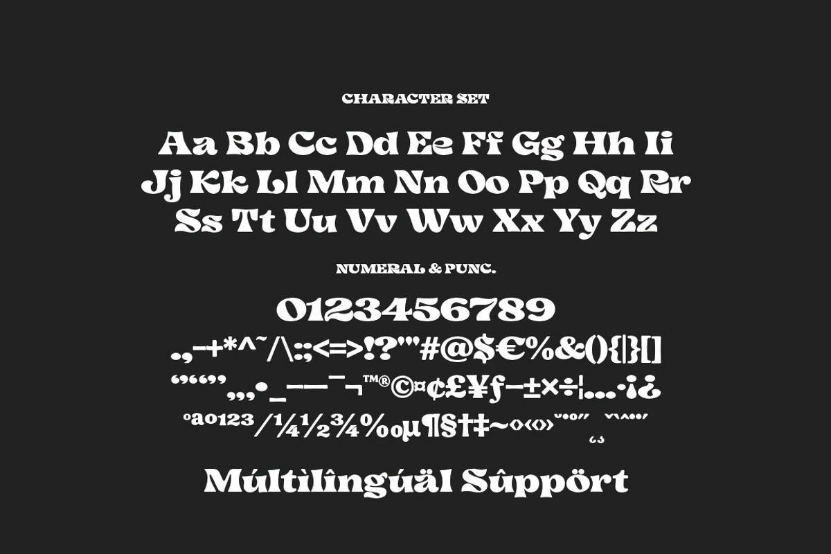 Regick Dream – Retro Display Font, a Serif Font by Typebae (Photo 8 of 9)