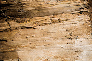 20 High quality wooden texture pack, a Background Graphic by 2MK (Thumbnail 5 of 5)