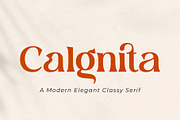 Calgnita | Modern Classic Serif, a Serif Font by Andrimada Creative (Thumbnail 1 of 11)