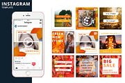 Autumn Instagram Animated Template, a Social Media Template by Brandspark Mini (Thumbnail 1 of 2)