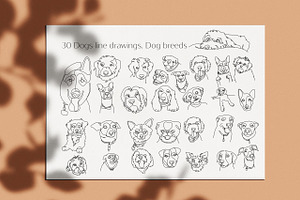 Dogs Line Drawings. Dog Breeds