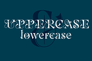 Dawnora Initials, a Symbol Font by Typomancer (Thumbnail 3 of 5)