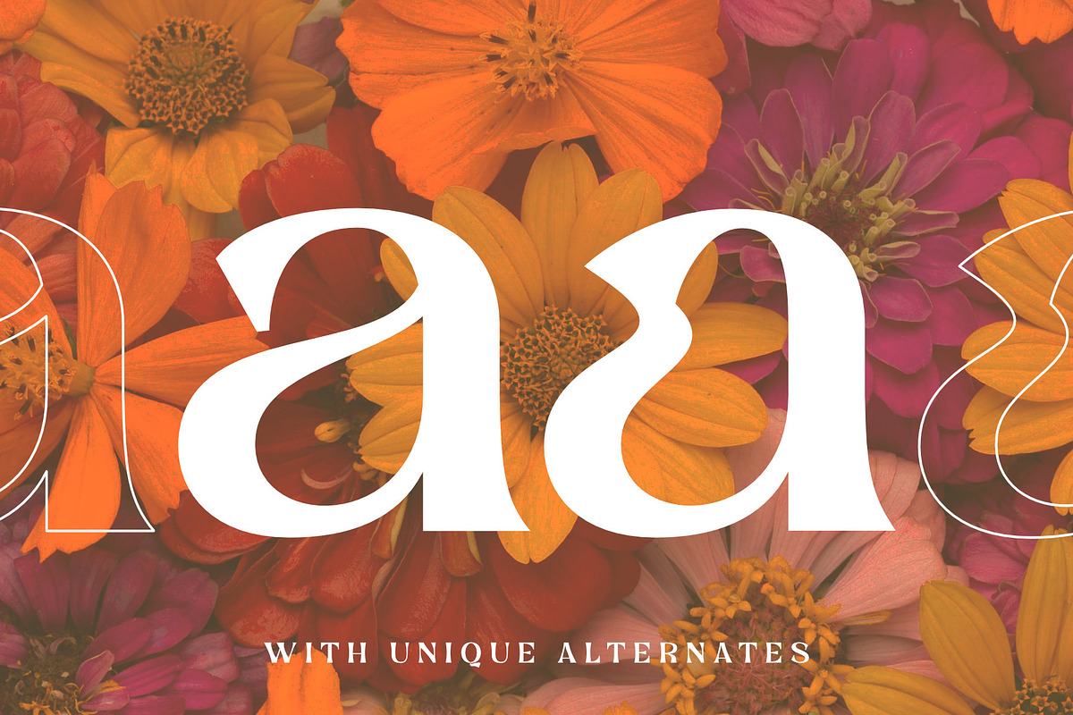 Calgnita | Modern Classic Serif, a Serif Font by Andrimada Creative (Photo 2 of 11)