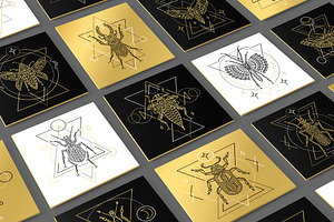16 Insect symbols and 4 Patterns