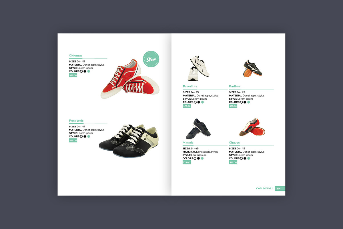 Multipurpose Product Catalogue, a Magazine Template by pistakovac (Photo 7 of 9)