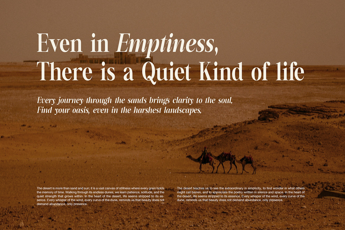 New Back Elegant Family Serif Font, a Serif Font by Perfectype (Photo 7 of 8)