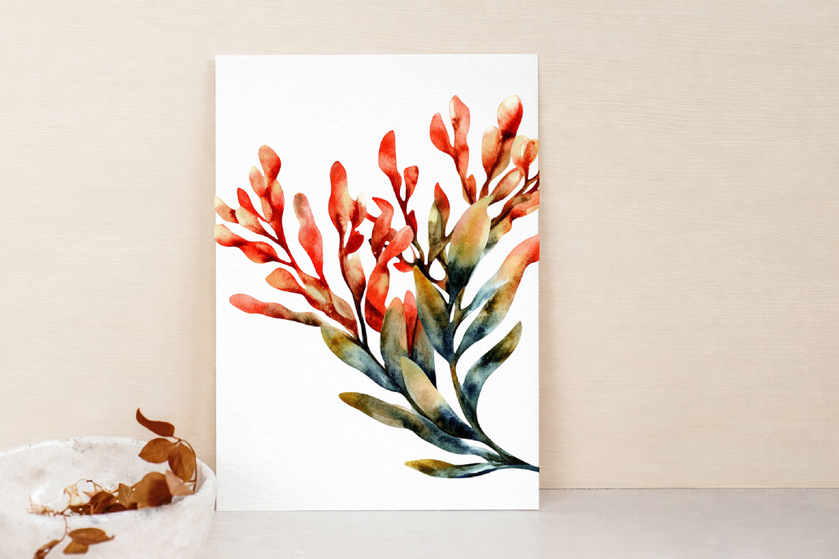 Watercolor sea set Clipart, an Illustration by Libby Wishes (Photo 4 of 7)