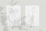 Minimalist Tulip Line Sketches, a Decorative Illustration by Galerie Design Studio (Thumbnail 6 of 7)