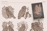 Owls graphic collection, a Decorative Illustration by Piñata (Thumbnail 3 of 17)