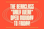 TNSC Bashin - Condensed Sans Serif, a Sans Serif Font by The Native Saint Club (Thumbnail 10 of 12)