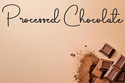 Delight Photography, a Handwritten Font by FreshTypeINK (Thumbnail 3 of 8)