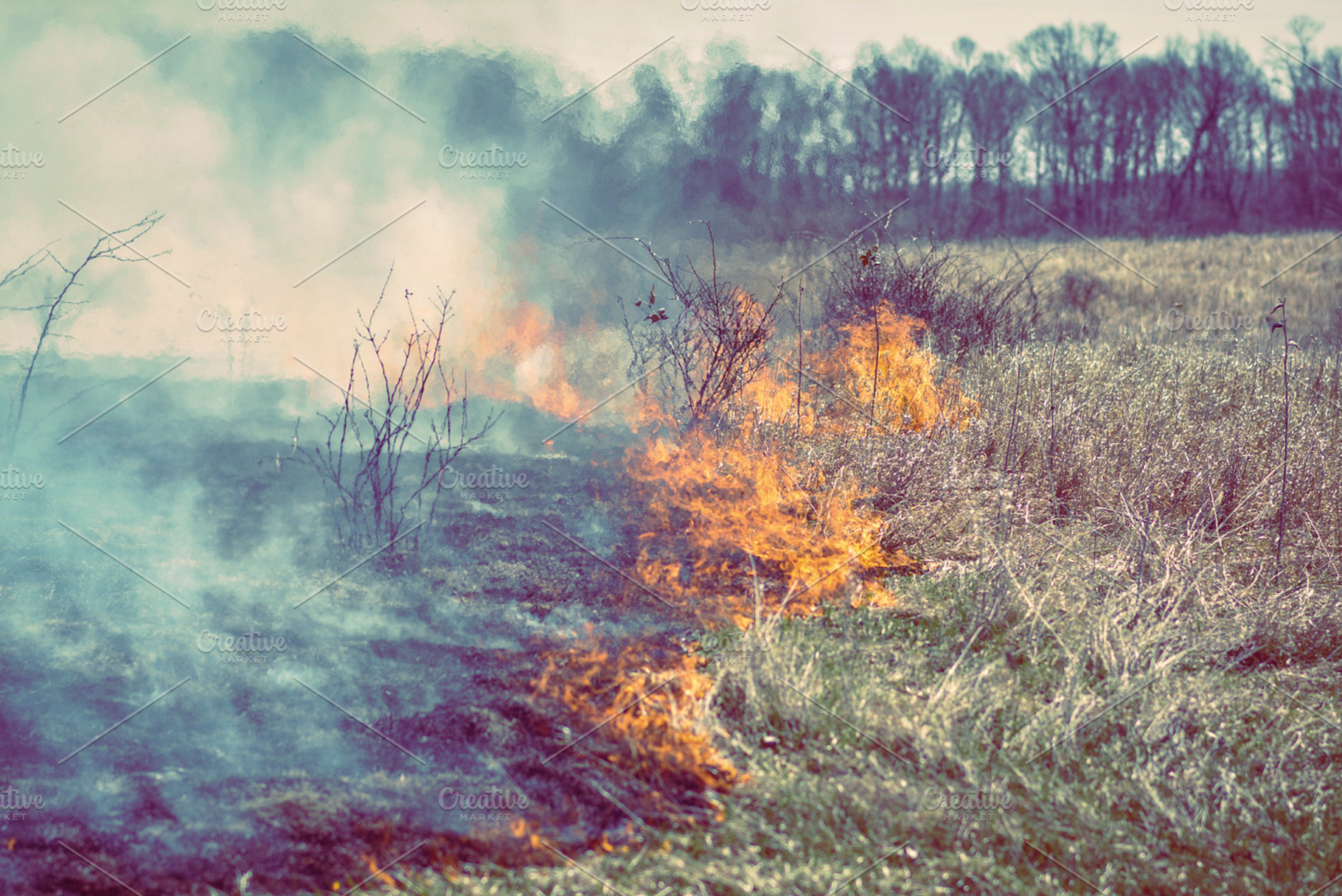 Field Fire