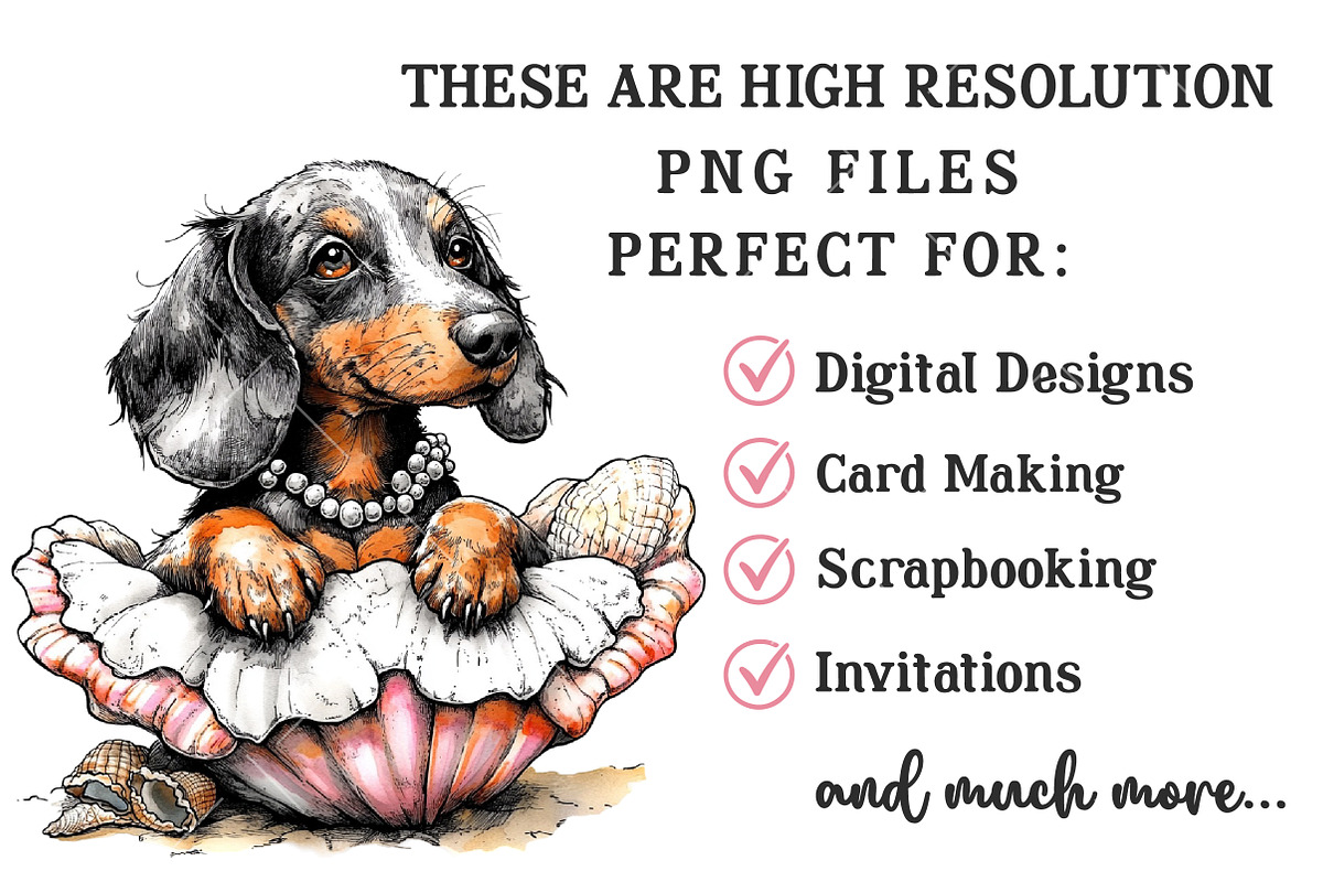 Summer Dachshund Dog PNG Clipart Set, a Seasonal Illustration by OK Design (Photo 6 of 6)