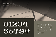 Alrays Bloom - Luxury Logo Font, a Serif Font by Nirmana Visual (Thumbnail 14 of 15)