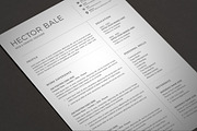 Resume/CV, a Resume Template by deviserpark (Thumbnail 5 of 6)