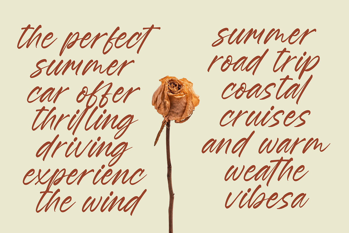 Esylon Sparted Bold Brush Type Font, a Script Font by Letterena Studios Script (Photo 2 of 20)