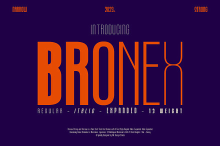Bronex Typeface, a Sans Serif Font by alit design
