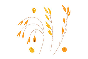 Hand drawn set of oats, oatmeal, oat