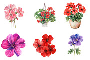 Geranium Flower Watercolor Clipart, an Illustration by SinaCreation (Thumbnail 3 of 5)