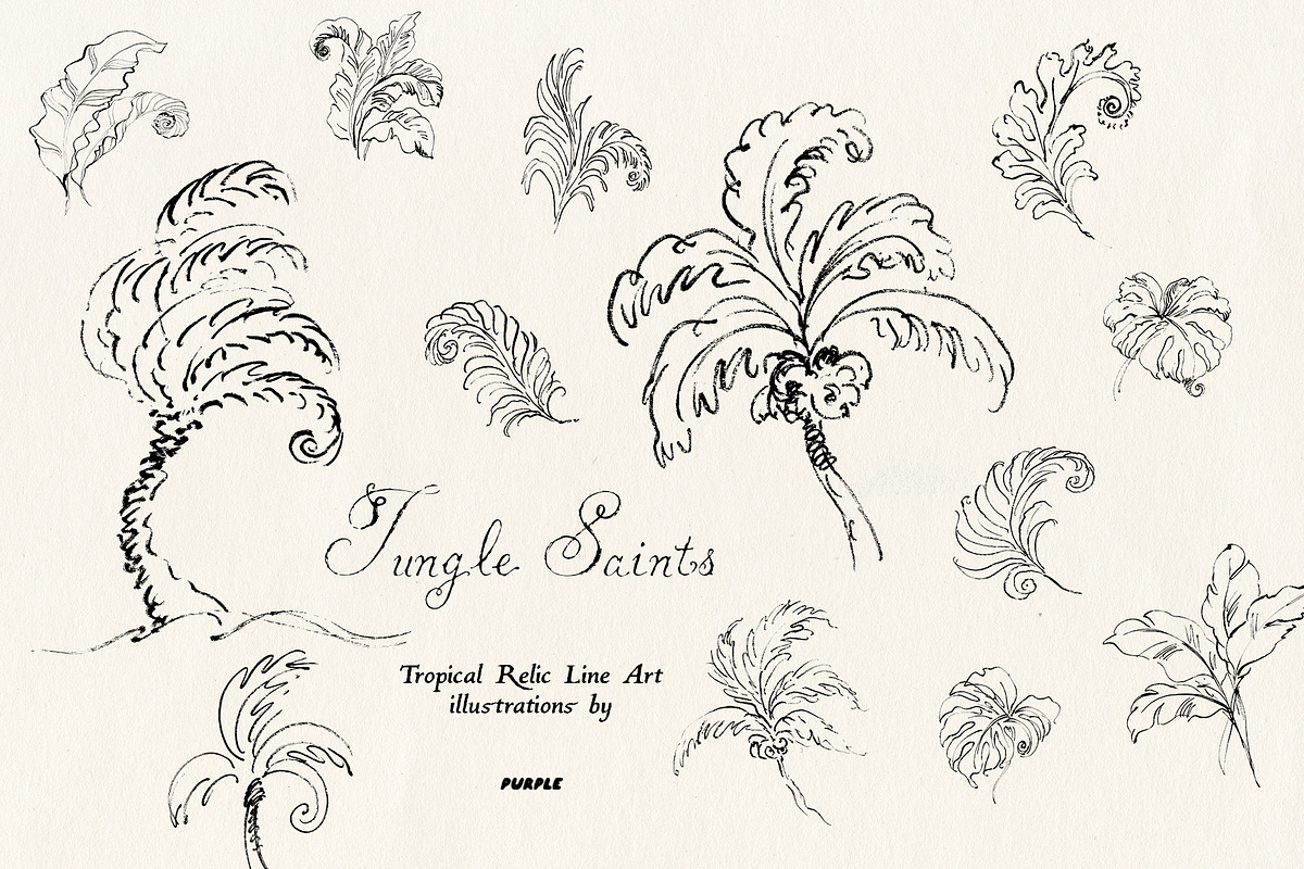 Jungle Saints: Tropical Line Art, an Object Illustration by Purple (Photo 14 of 15)