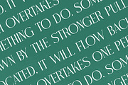 Nostalgin Beauty Alternate Serif, a Serif Font by Letterena Studios (Thumbnail 11 of 15)