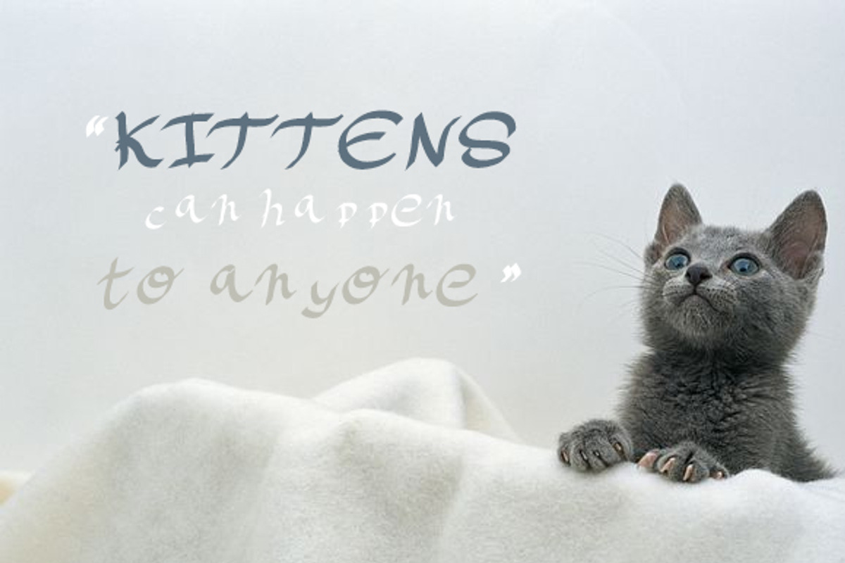Casual Handkitten Font Family