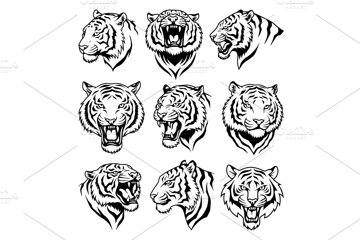 Set of tiger head icons in, an Object Illustration by Things for designers
