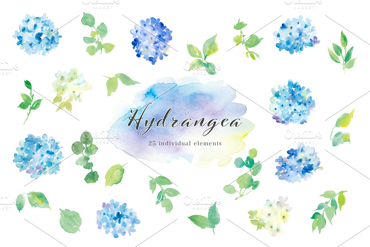 Hydrangea watercolor clipart set, an Illustration by Sawango Designs (Photo 3 of 4)