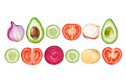 Watercolor fruit&vegetable slices, a Food Illustration by Katya Zlobina (Thumbnail 2 of 14)