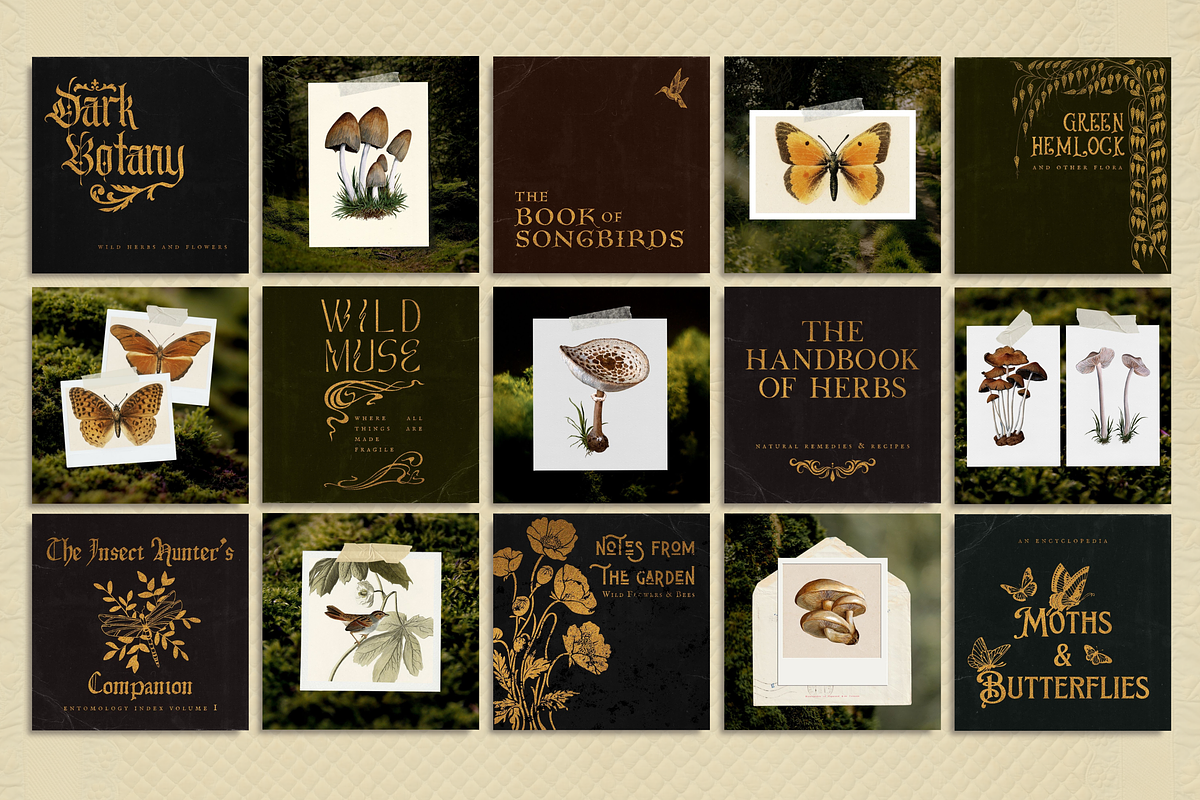 The Naturalist Social Media Bundle, a Social Media Template by The Flossy Finch (Photo 5 of 22)
