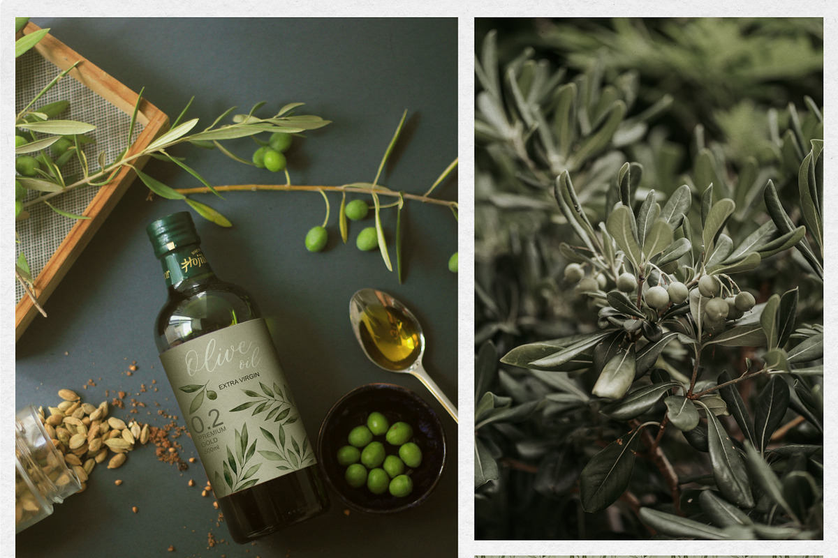 Olive branches, a Food Illustration by Onceli*art (Photo 9 of 10)