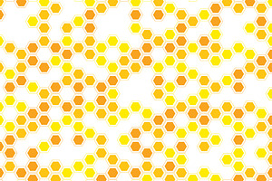 Bee honeycomb banner template, a Background Graphic by pro500