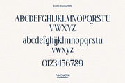 Favorite Notification, a Serif Font by Prioritype Co (Thumbnail 40 of 43)