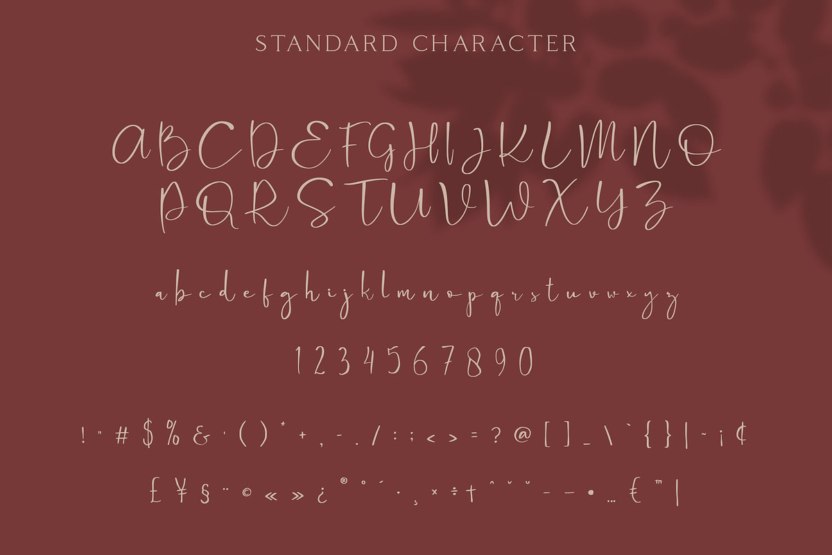 Cattus - Modern Casual Script Font, a Script Font by Craft Supply Co. (Photo 9 of 11)
