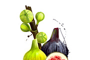 Set culinary fruits part 2, an Object Graphic by Dneprstock (Thumbnail 3 of 3)