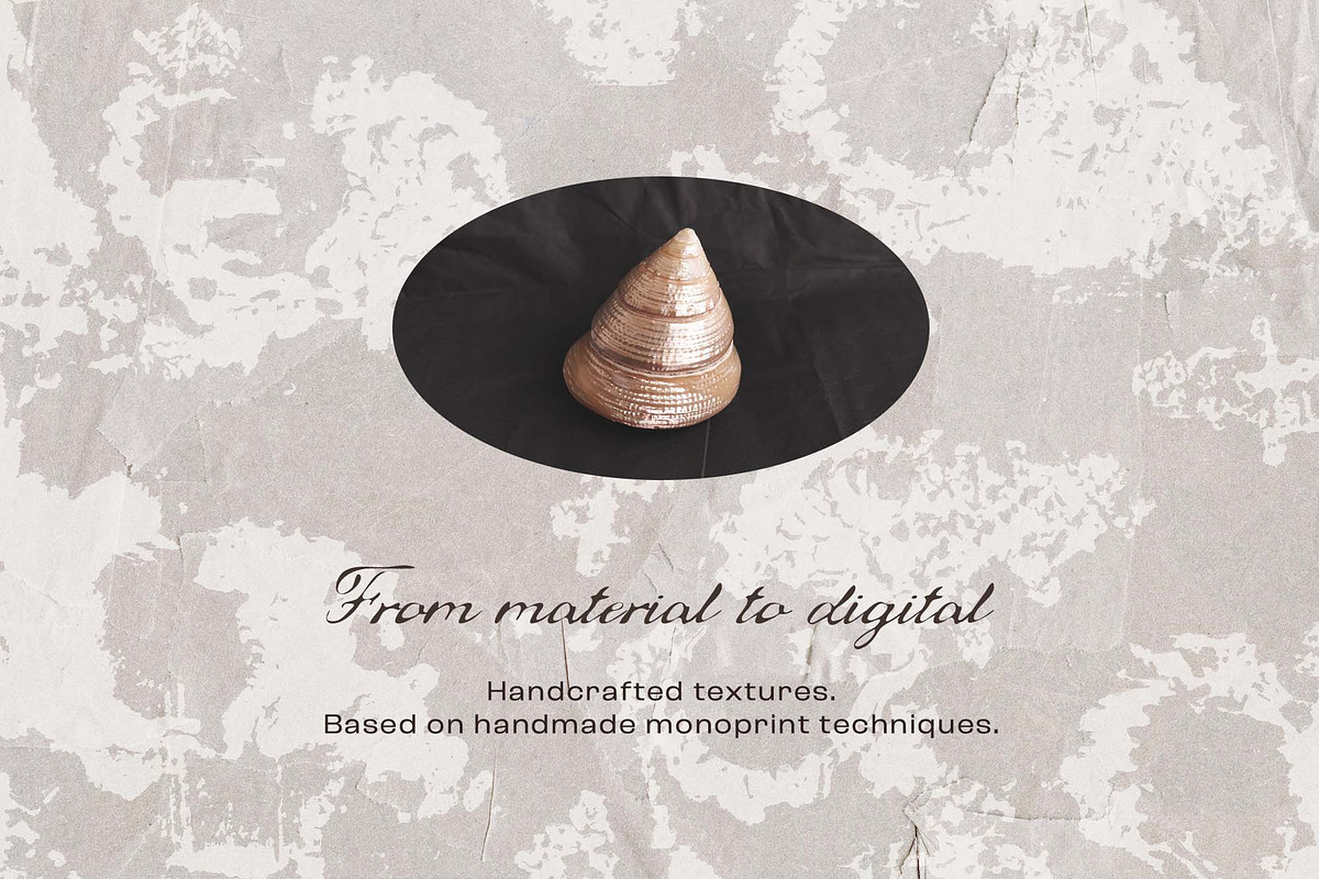 Shell Imprint textures, a Background Graphic by DigARTbyHavroshka (Photo 3 of 12)