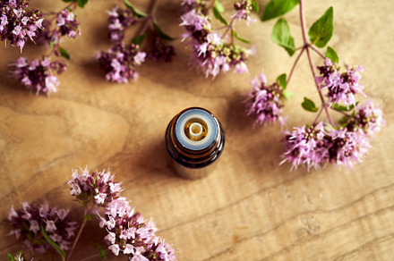 A bottle of essential oil with fresh blooming oregano, top view, a Health & Medical Photo by Madeleine Steinbach