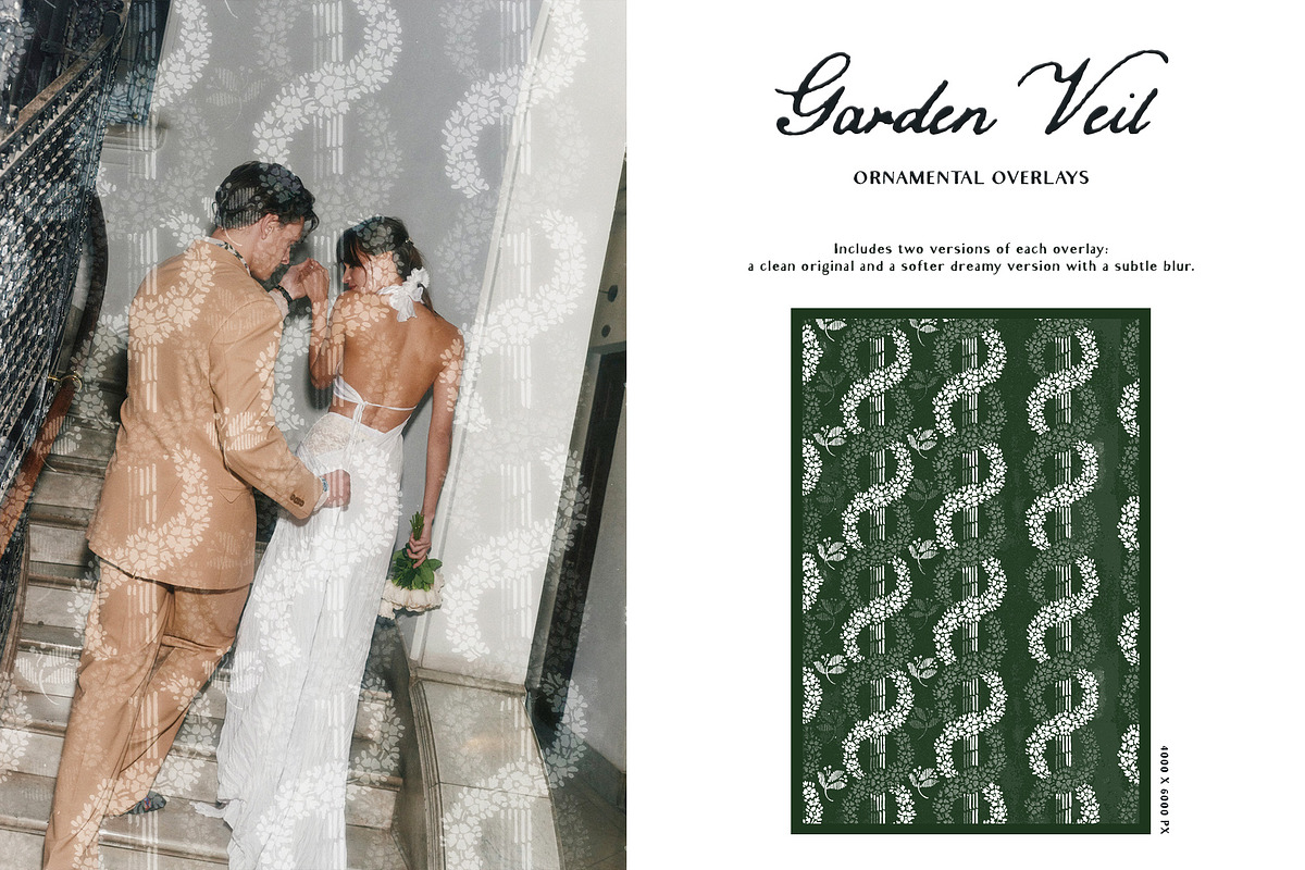 Garden Veil: Lace Overlays, a Texture Graphic by Purple (Photo 10 of 16)
