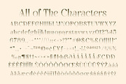 Aquene Halfpixel, a Serif Font by Craft Supply Co. (Thumbnail 8 of 8)