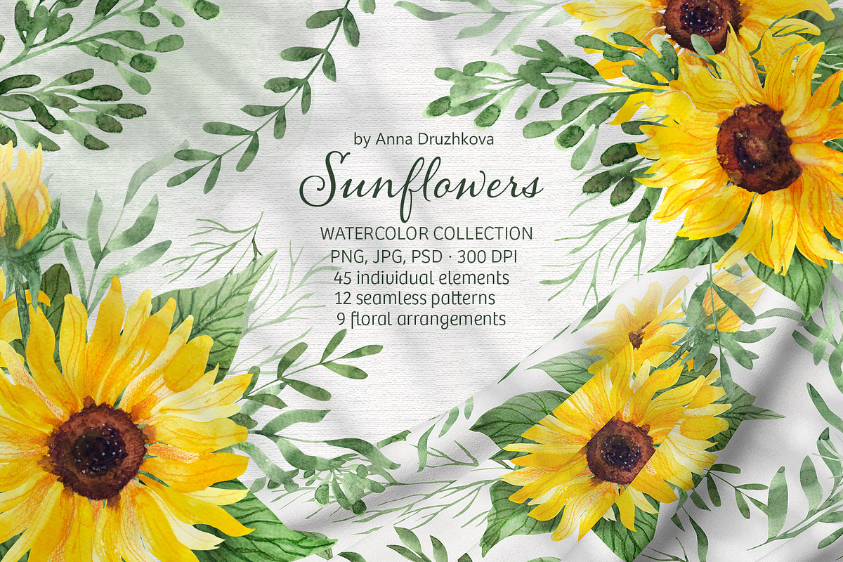 Sunflowers Watercolor Collection, an Illustration by Anna Druzhkova (Photo 1 of 14)