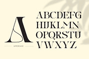 Gauker - Modern Ligatures Serif, a Serif Font by Nirmana Visual (Thumbnail 4 of 12)