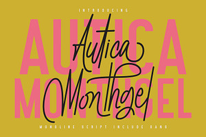 Autica Monthgel Monoline Script Sans