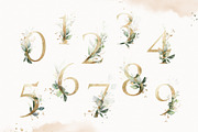 Green watercolor herbs, leaves, a Decorative Illustration by Lisima (Thumbnail 14 of 19)