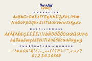 The Wild Chaos Font, a Script Font by Allouse Studio (Thumbnail 12 of 16)