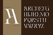 Roab Luxury - Branding Logo Font, a Serif Font by Nirmana Visual (Thumbnail 4 of 9)