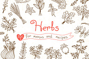 Herbs - Design Set, a Food Illustration by Baksiabat (Thumbnail 1 of 2)