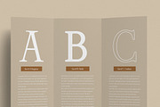 Magilla - Serif Font, a Serif Font by Dora Typefoundry (Thumbnail 14 of 19)